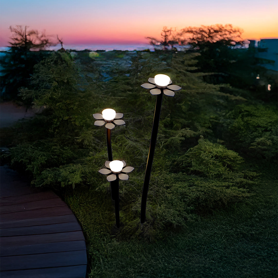 Sunset outdoor landscape lights LED display showcasing warm illumination during golden hour in natural landscape setting