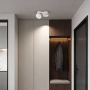 Dual-head surface mount LED downlights in black, offering adjustable lighting angles and minimalist design for modern interiors.