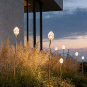 Syphasera standing lamp glowing softly among ornamental grasses beside a modern building at dusk.