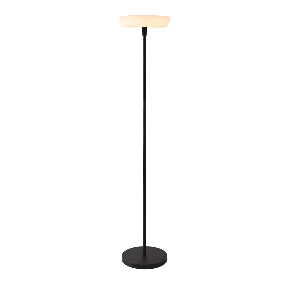 Tall halo floor lamp with slender black pole and circular LED top creating sophisticated ambient lighting solution
