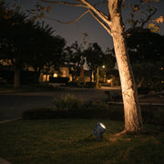 Tree spotlight casting warm uplight on a mature front yard tree at night.
