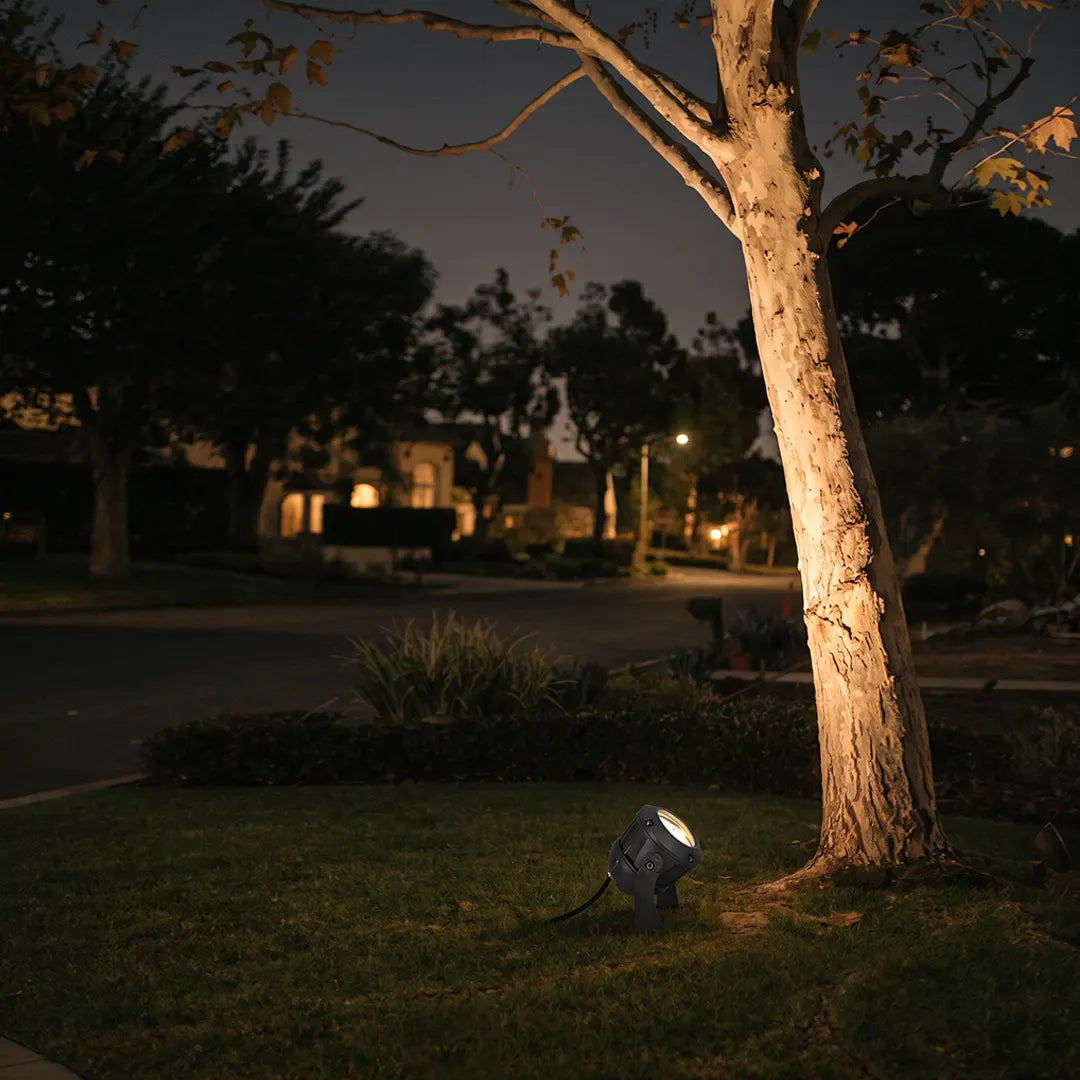 Tree spotlight casting warm uplight on a mature front yard tree at night.