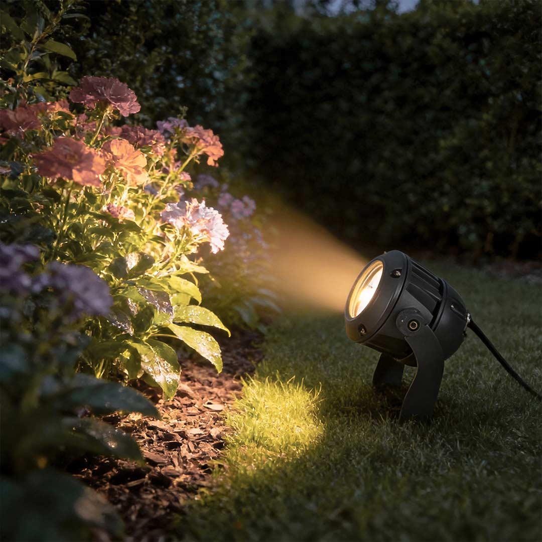 Tree spotlight illuminating a lush garden bush with warm directional light.