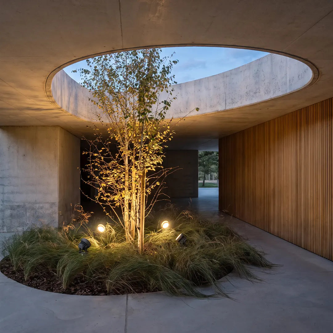 Multiple tree spotlights illuminating a small ornamental tree in a modern courtyard garden.