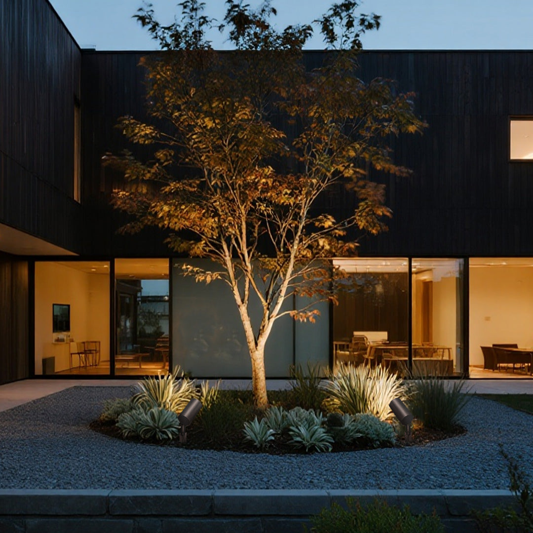 Tree spotlights creating dramatic architectural landscape lighting around modern residential courtyard with mature trees