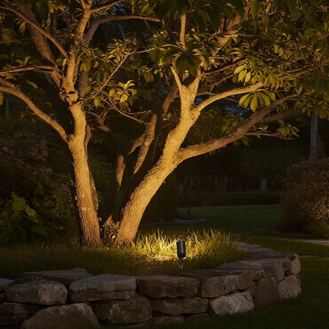 Tree spotlights highlighting natural oak tree canopy with warm golden accent lighting in garden setting
