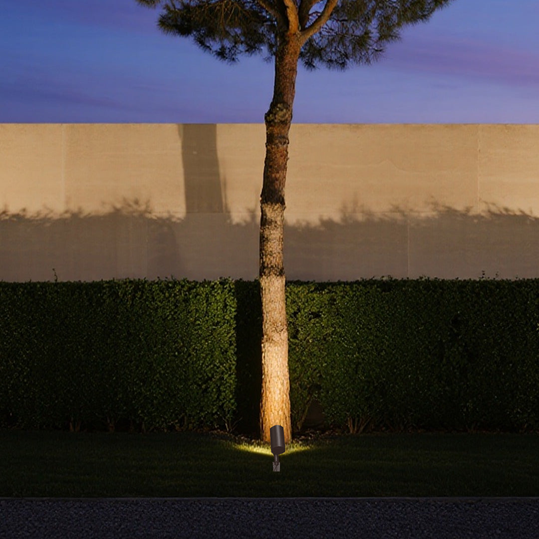Tree spotlights illuminating tall palm tree trunk with dramatic upward lighting in residential landscape setting