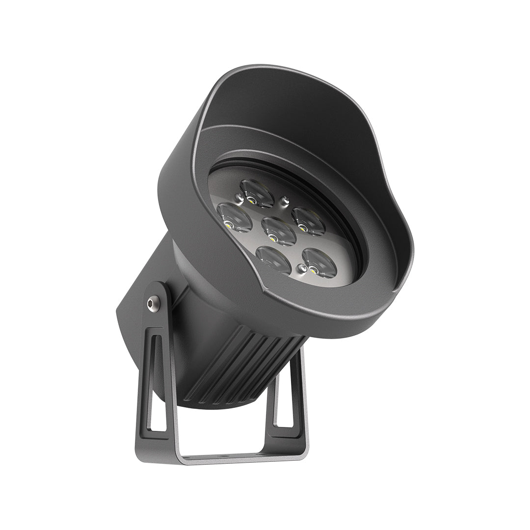 Dramatic tree trunk uplighting showcasing natural bark texture with warm LED ground-mounted fixture