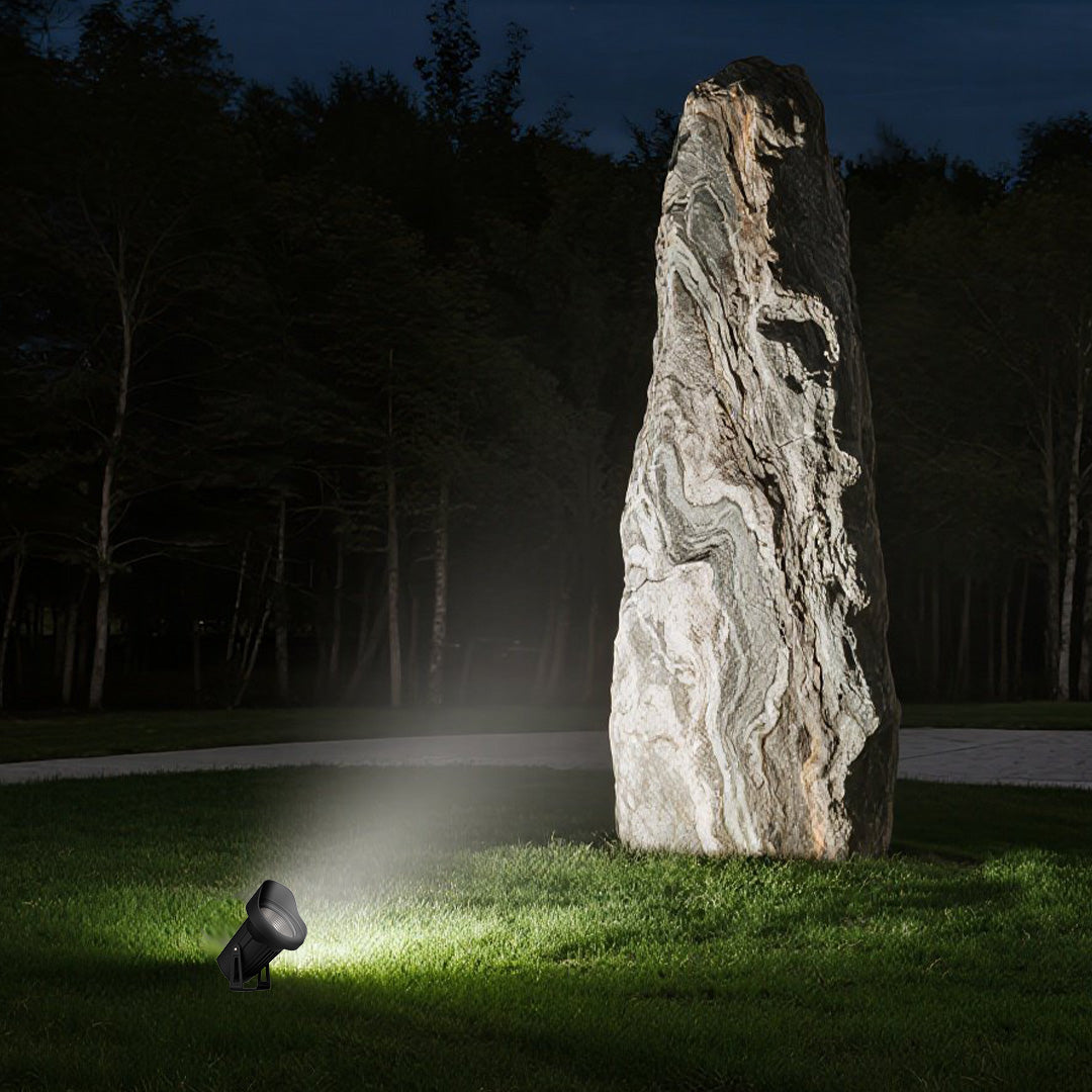 Beautiful tree uplighting at twilight creating dramatic golden illumination against purple evening sky