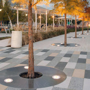 Inground light fixtures arranged along a tree-lined walkway providing even outdoor illumination.