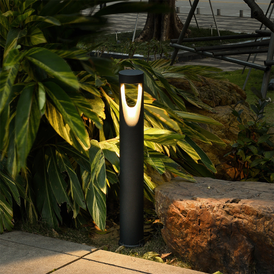 Tropical garden setting with bollard lights illuminating lush vegetation and stone walkway