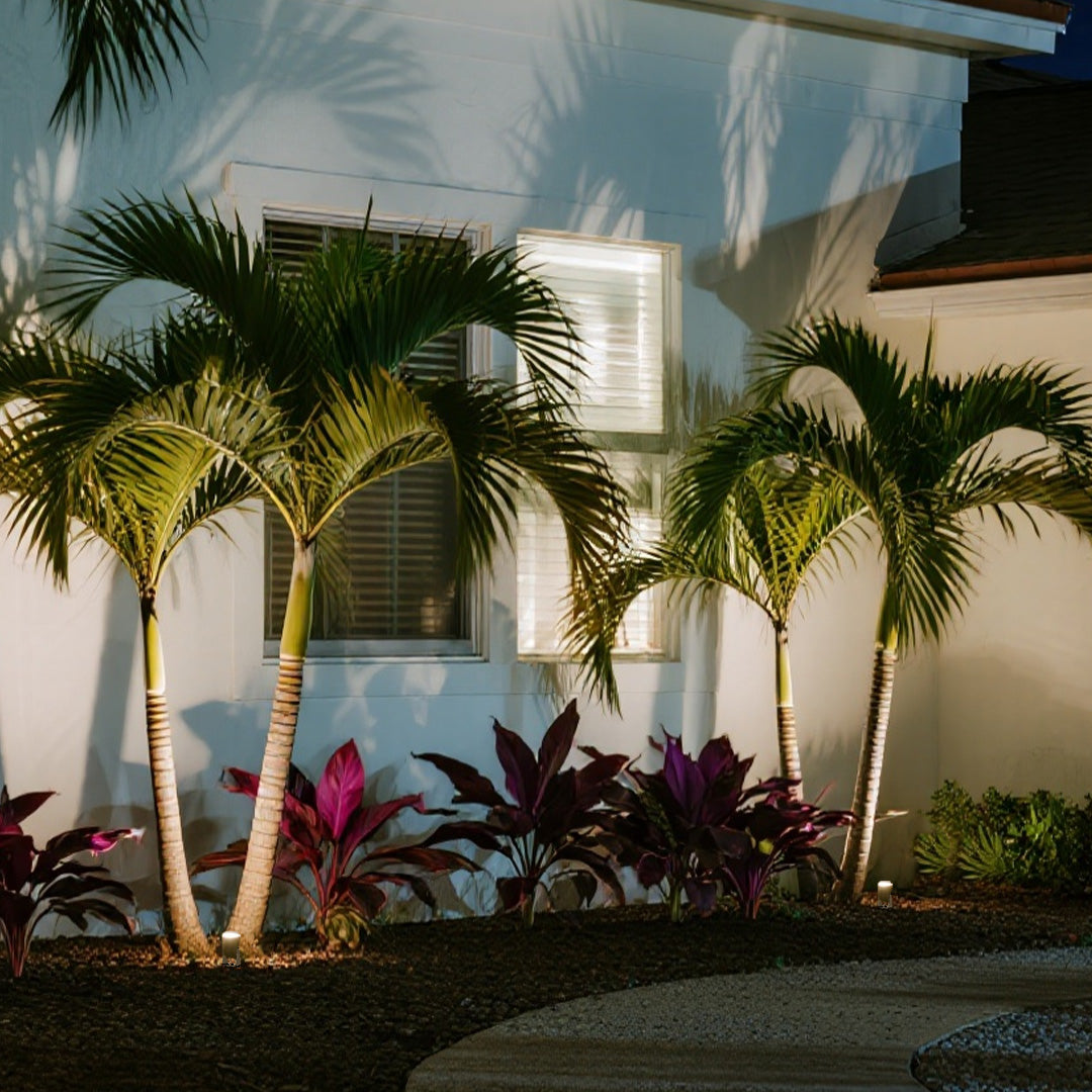 Tropical landscape lighting spotlights highlighting palm trees and architectural features in residential outdoor space