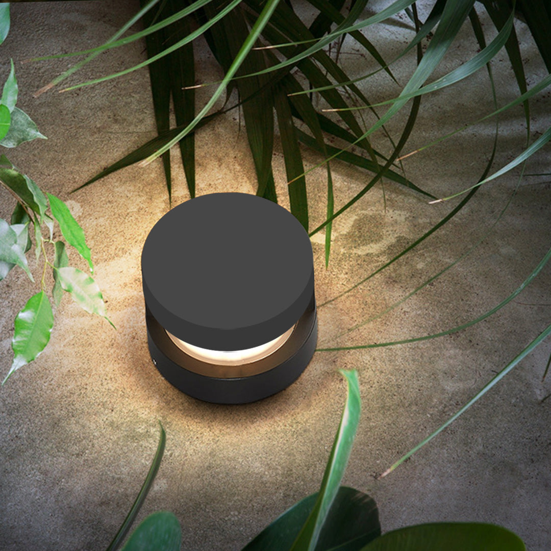 Contemporary path light positioned near tropical plants creating warm evening illumination in outdoor setting