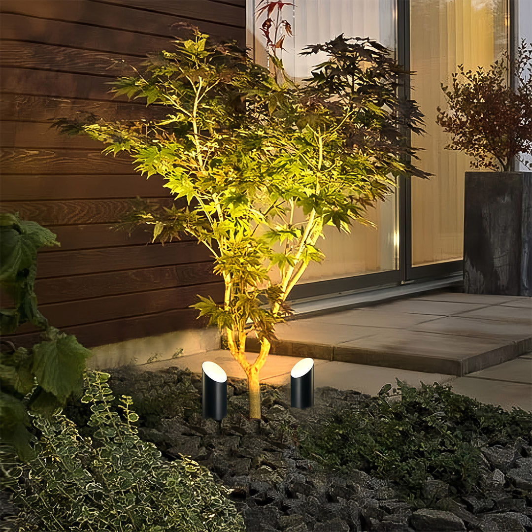 Two black cylindrical landscape tree up lighting fixtures highlighting the yellow-green canopy of a small maple tree at night.