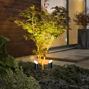 Two black cylindrical landscape tree up lighting fixtures highlighting the yellow-green canopy of a small maple tree at night.