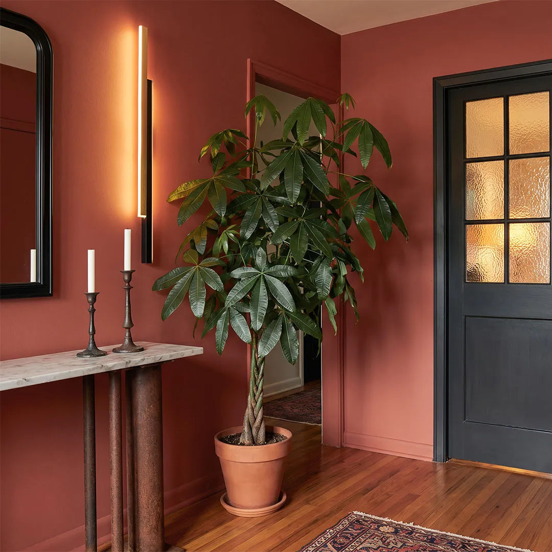Vertical wall light with warm glow installed on a red accent wall near a console table and indoor plant.