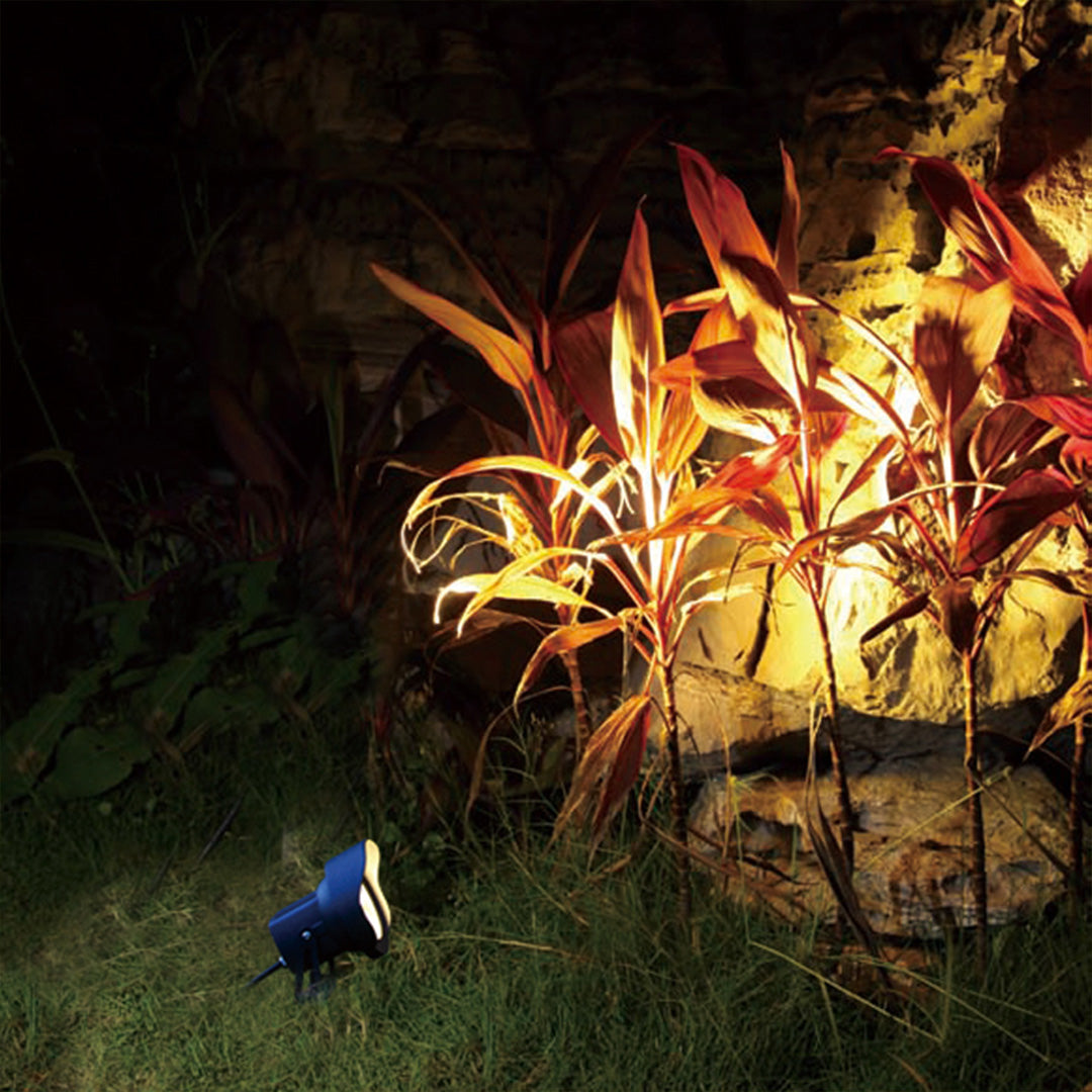 Vibrant garden scene with colorful foliage illuminated by professional landscape lighting system