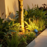 Warm LED outdoor lighting creating atmospheric illumination among lush garden foliage at night