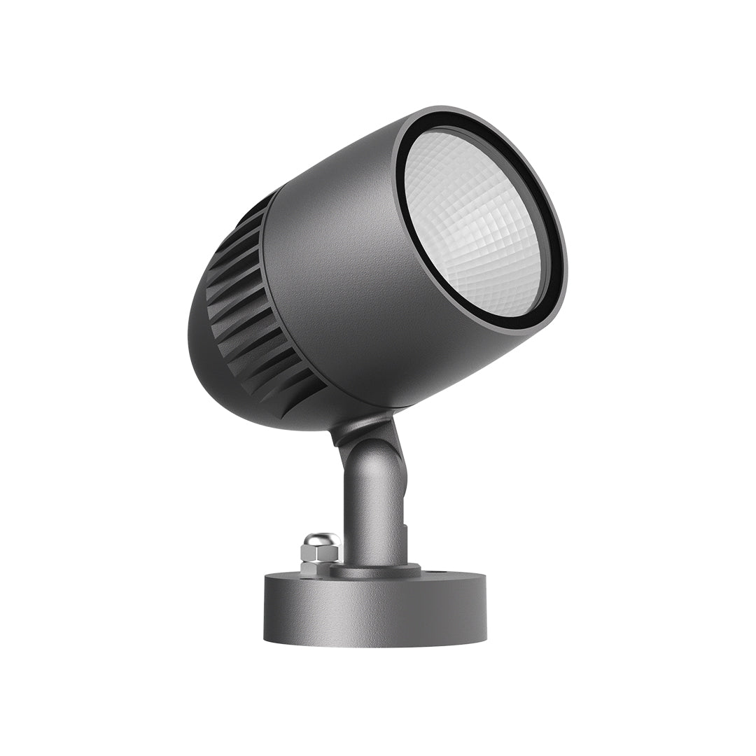 Warm uplighting showcasing multi-trunk tree with decorative stone ground cover in evening setting