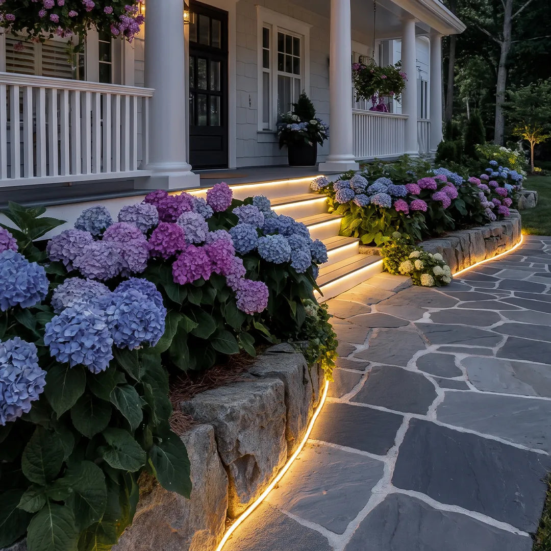 Waterproof LED light strips installed along a curved stone walkway and front steps, adding warm landscape illumination beside blooming hydrangeas.