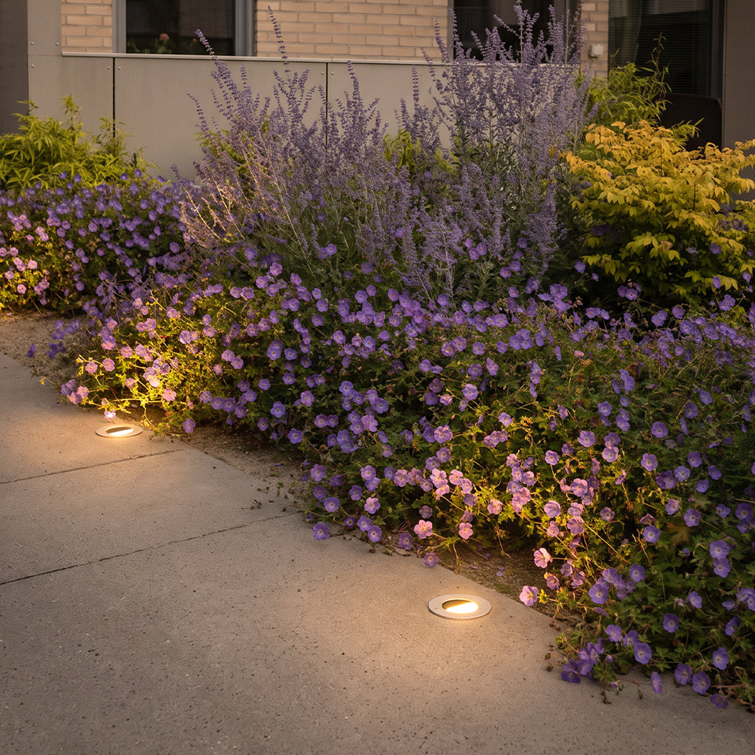 Well lights in concrete illuminate a garden border beside purple flowers and low shrubs along a modern walkway.