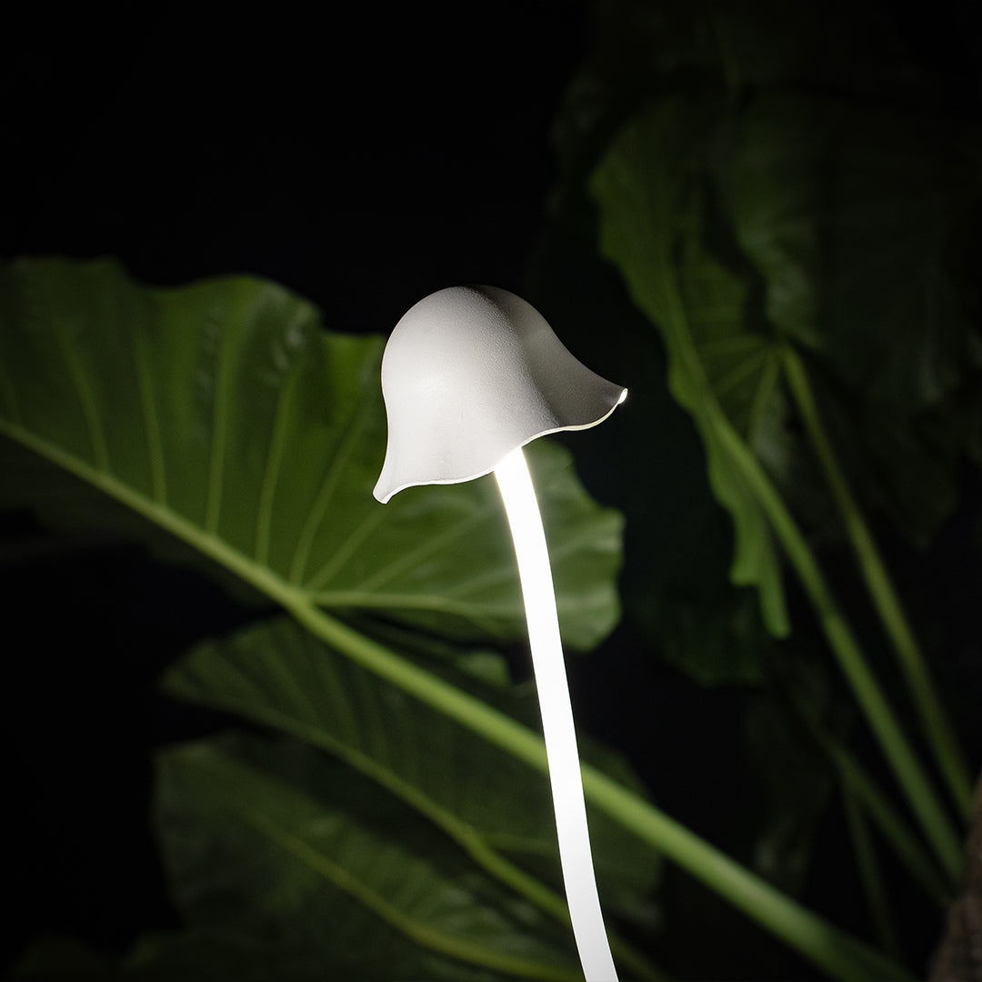 Modern white bell-shaped outdoor landscape light providing gentle downward lighting in natural garden setting