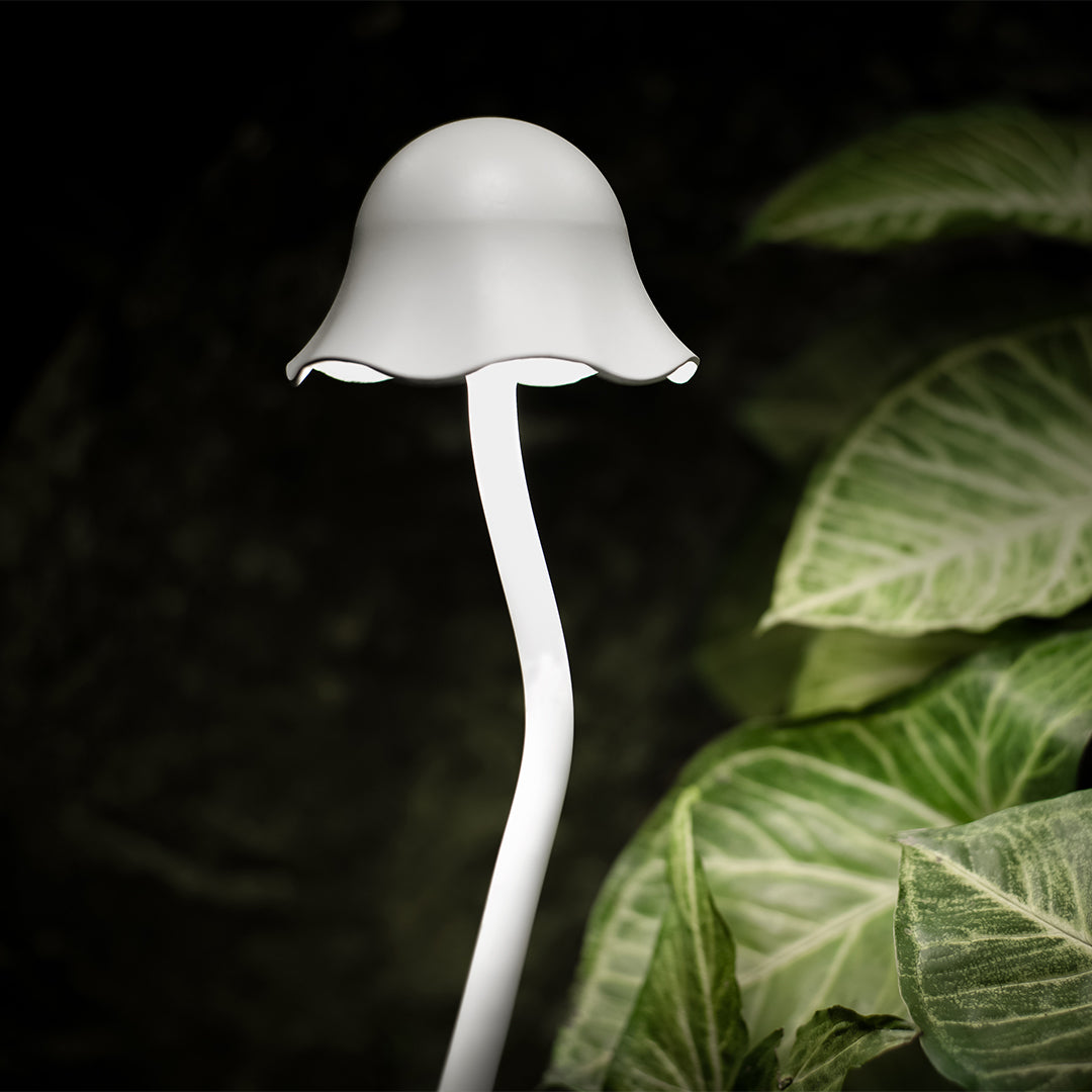 Elegant white mushroom outdoor landscape light with curved design creating soft illumination among lush green foliage