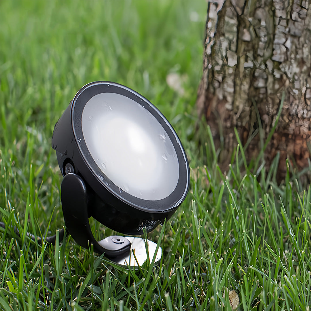 Wide-angle pathway landscape lights floodlight, mounted on a stake in the grass for dramatic tree and foliage uplighting.