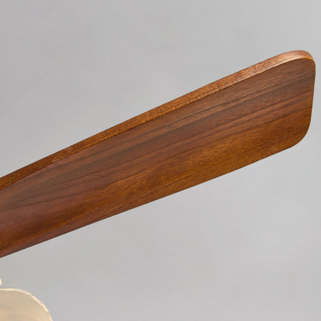Close-up of ceiling fan with LED lighting showing the natural wood grain and curved blade profile.