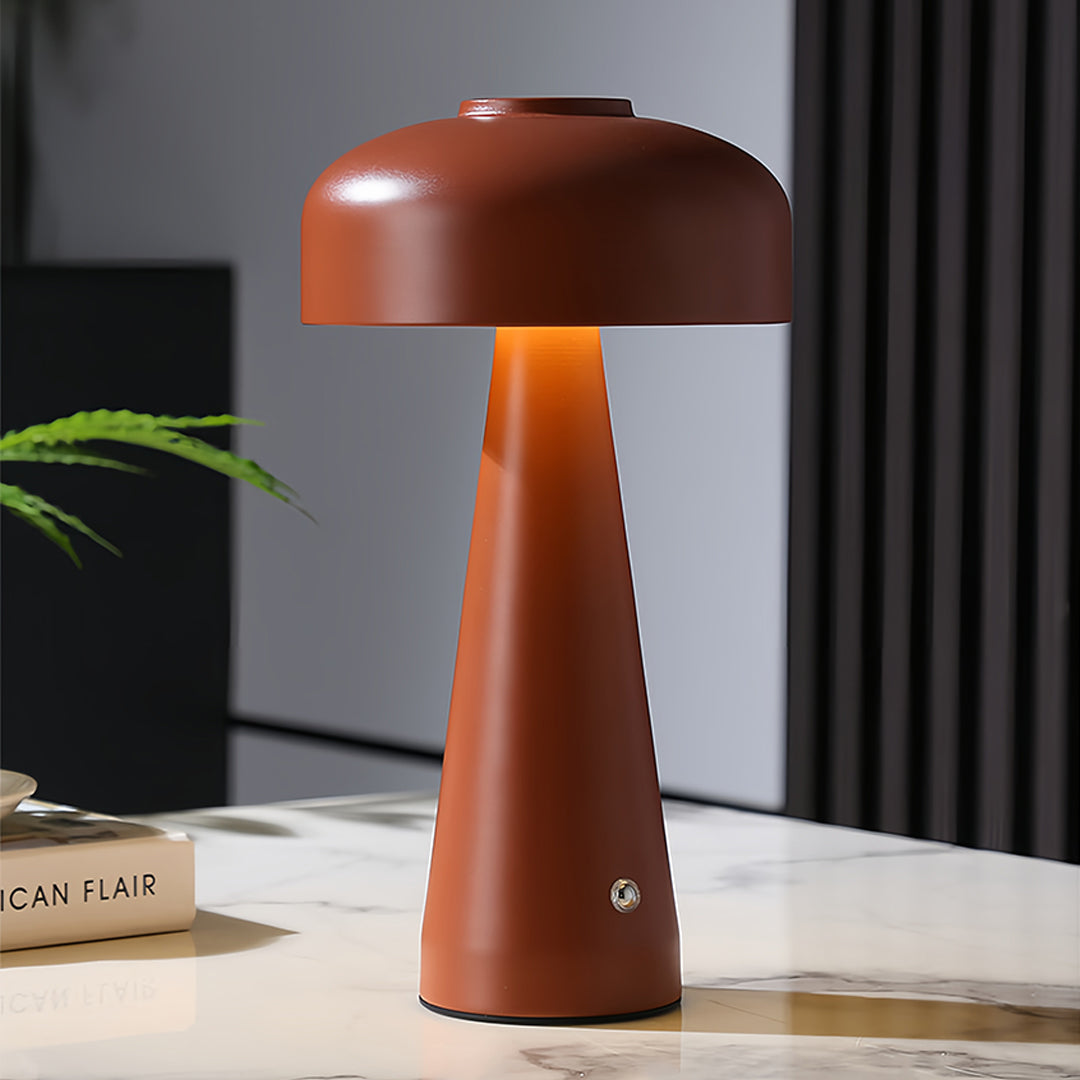 Contemporary workspace with small black pendant light providing ambient terracotta mushroom lighting