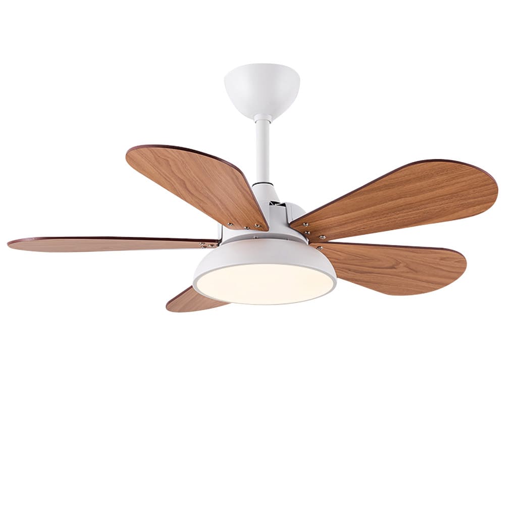 Nordic Frequency Conversion Cartoon Reversible Noiseless Kids Ceiling Fan with Lights