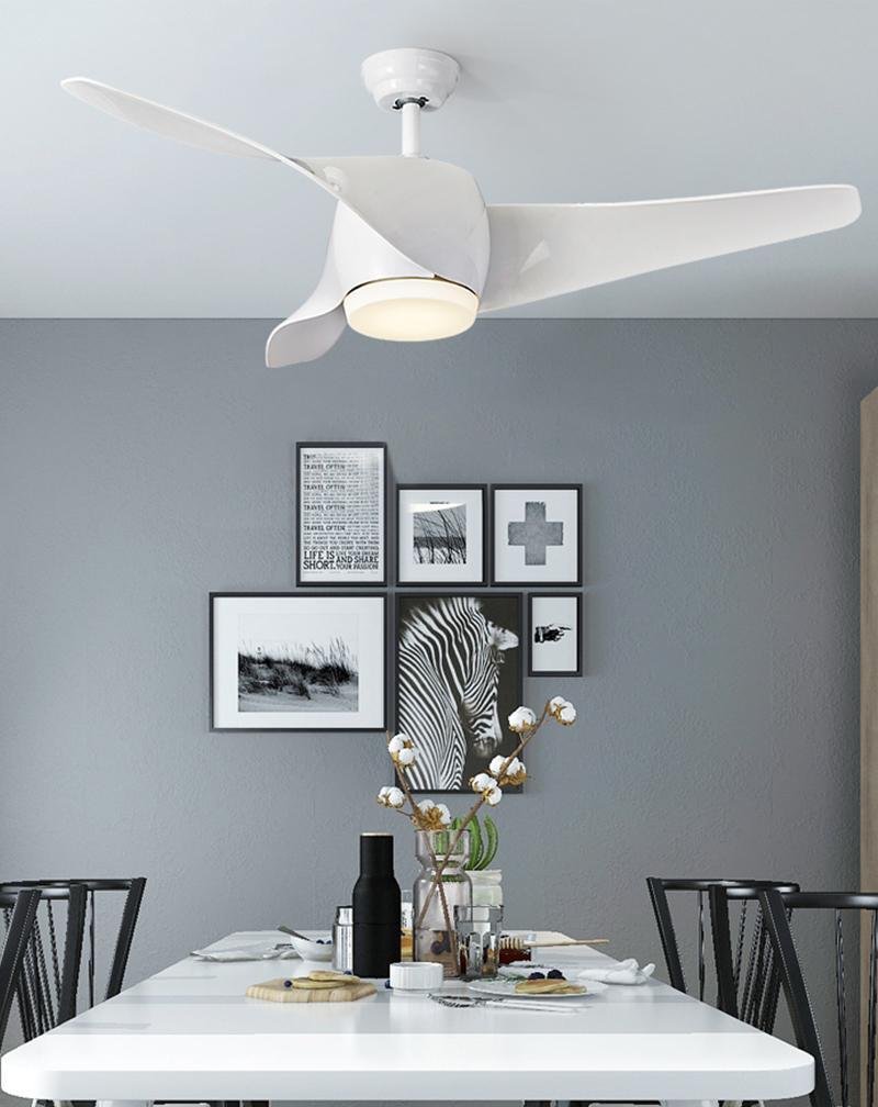 52" Downrod Ceiling Fans with Remote Control and LED Lights
