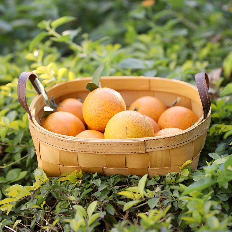 Check Patterned Storage Basket Food Hamper with Handles