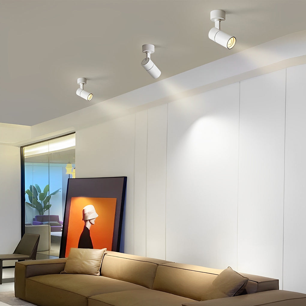 Up and Down Adjustable Round LED Ceiling Mounted Minimalist Spotlight