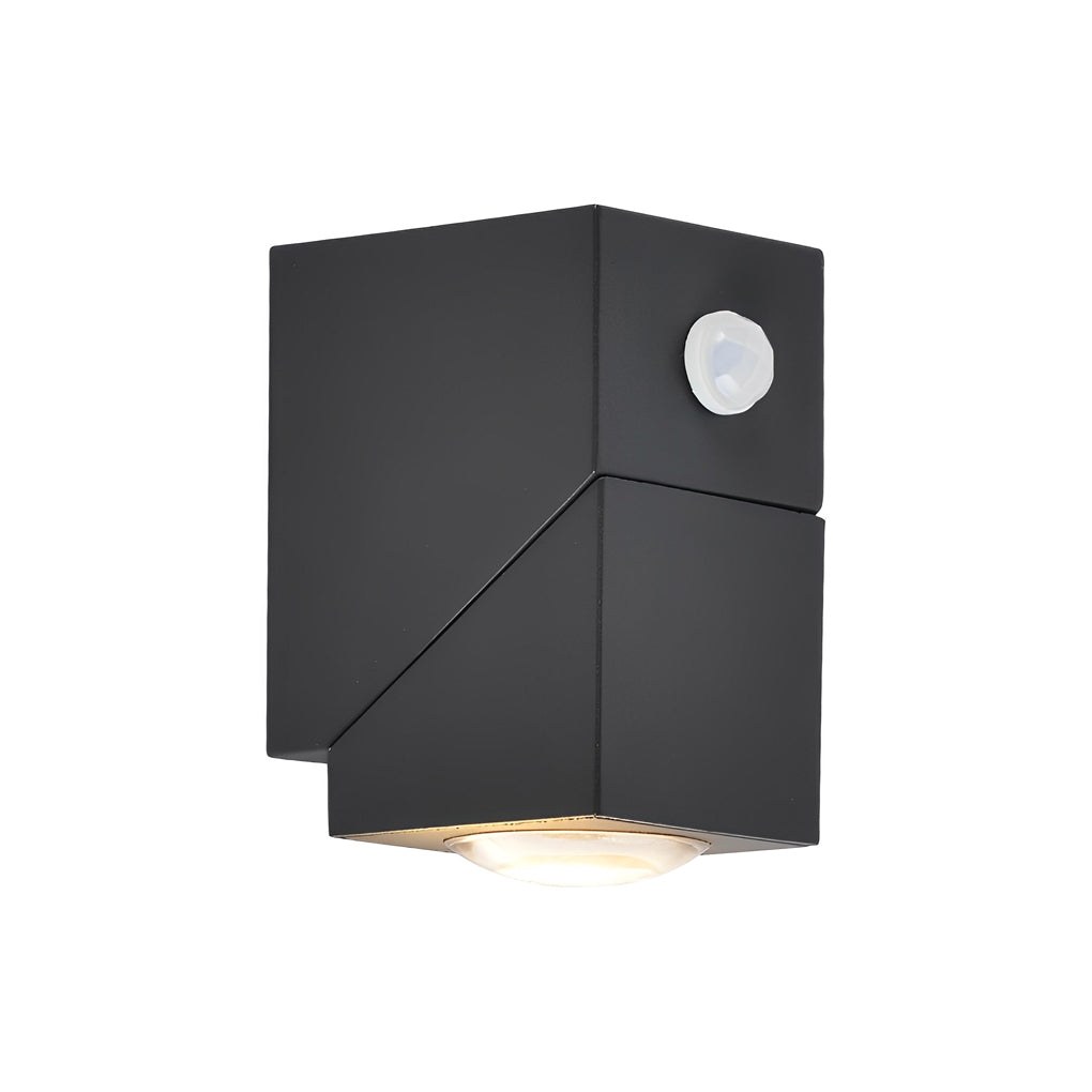 Adjustable Up and Down Light Motion Sensor Waterproof Black Wall Lamp