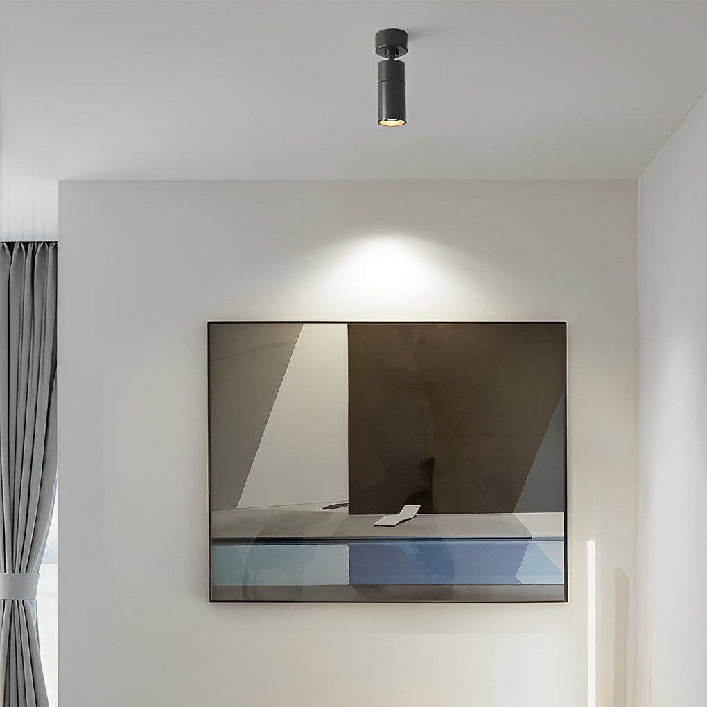 Up and Down Adjustable Round LED Ceiling Mounted Minimalist Spotlight - Dazuma