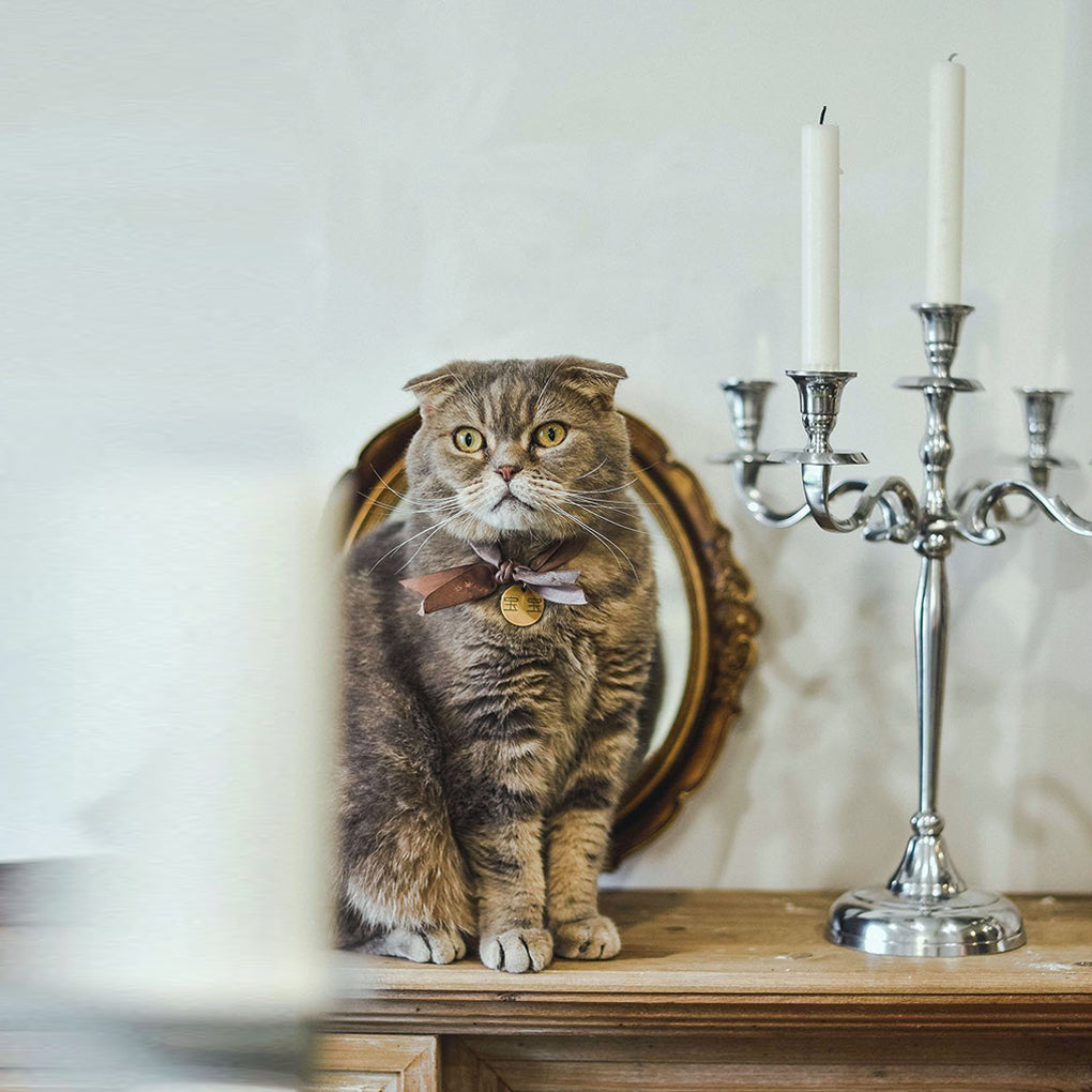 Gold Sliver Metal Candelabrum Candle Holder for 5 Candles - Dazuma