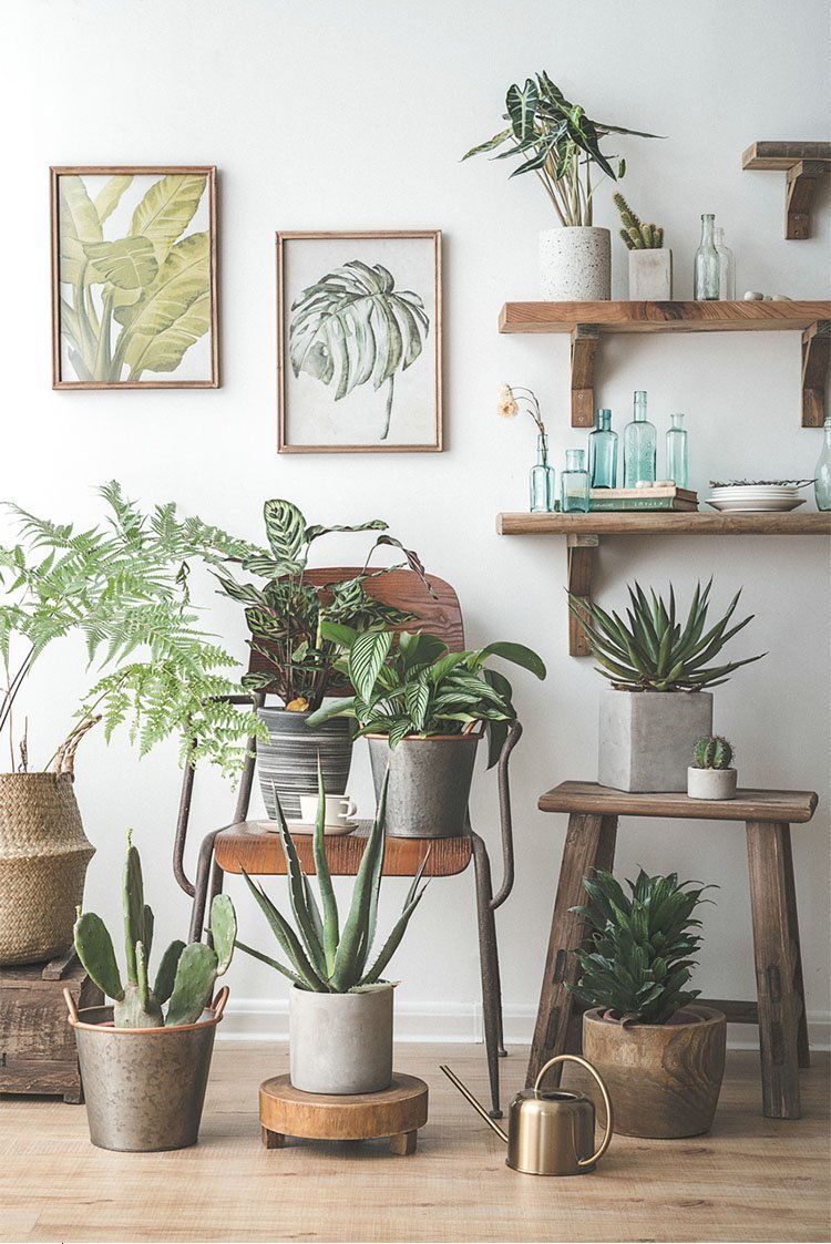 Wooden Wall and Display Shelf for Living Room Bedroom Study Kitchen