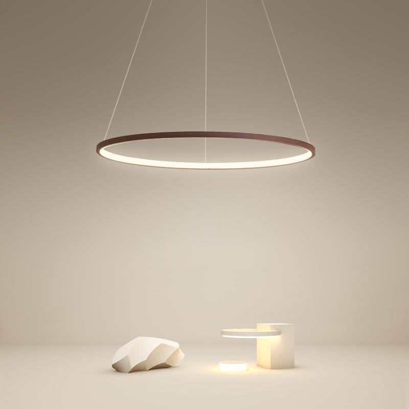 Halo Circle Ceiling Light Lamp for Living Room Dining Room Bedroom - dazuma