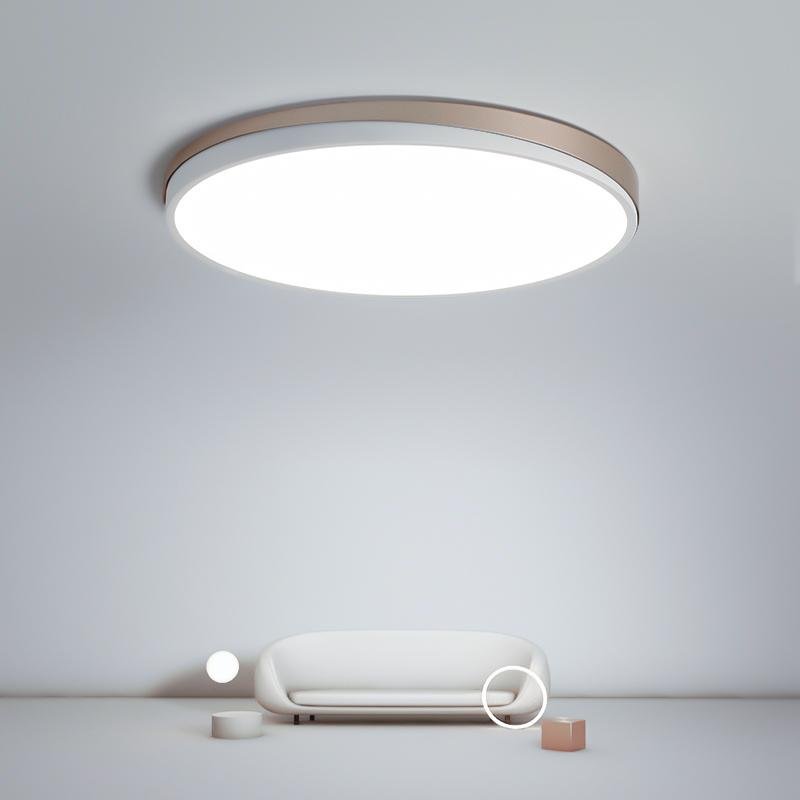 Circle Ceiling Light Lamp for Living Room Bedroom - dazuma