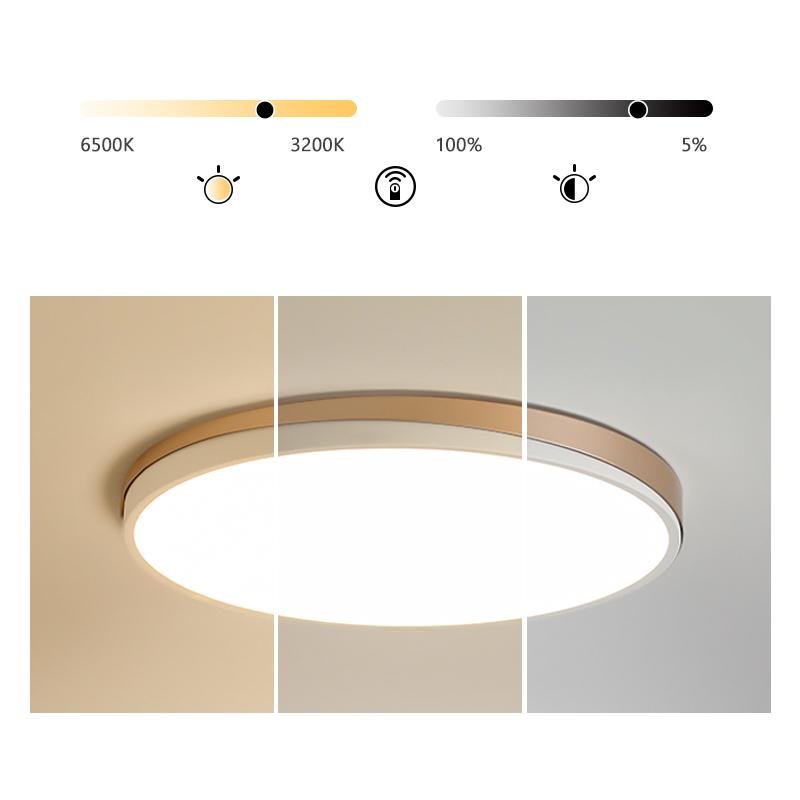 Circle Ceiling Light Lamp for Living Room Bedroom - dazuma