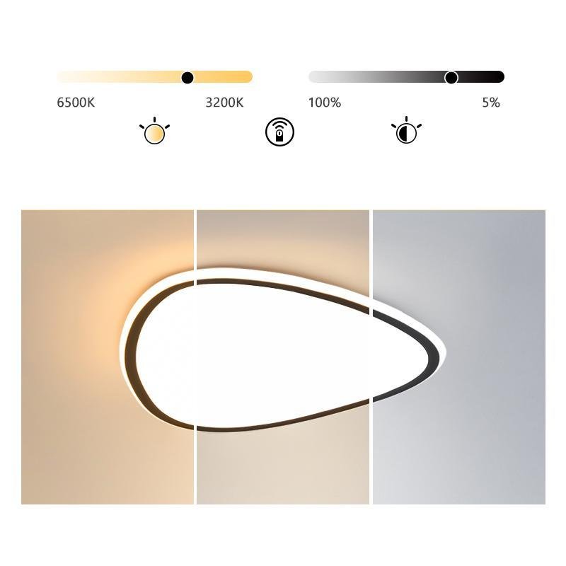 Nordic Geometric Reuleaux Triangle Modern Flush Mount Light with Remote Control