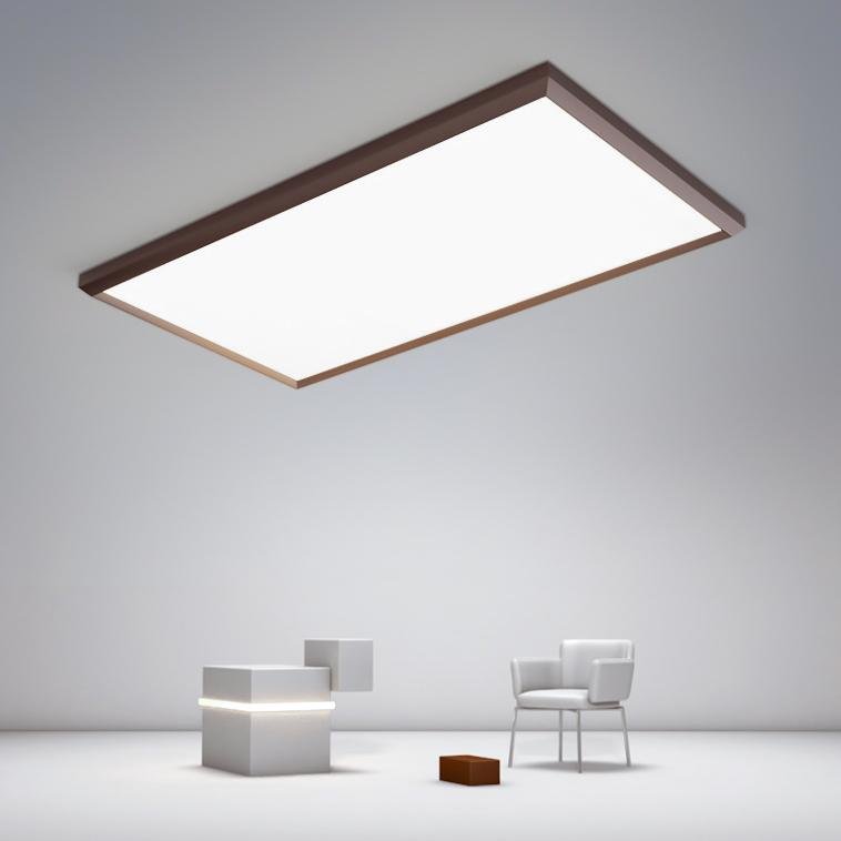Portrait-Styled Ceiling Light Lamp for Living Room Bedroom - dazuma