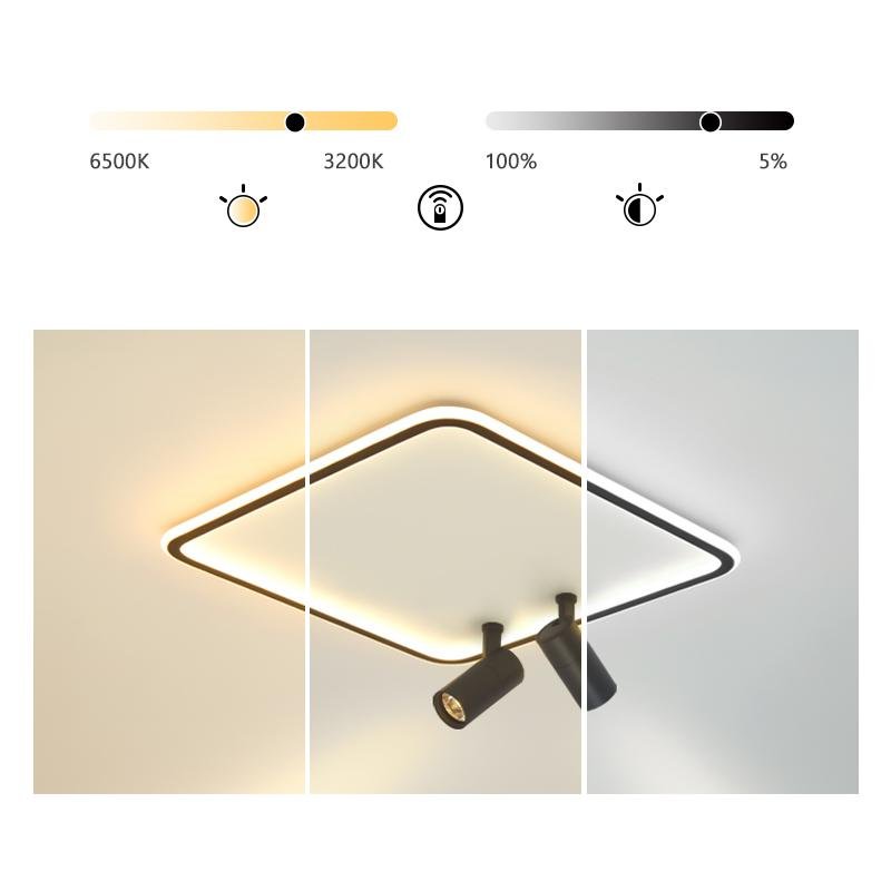 Spotlights and Square Ceiling Light for Living Room Bedroom - dazuma