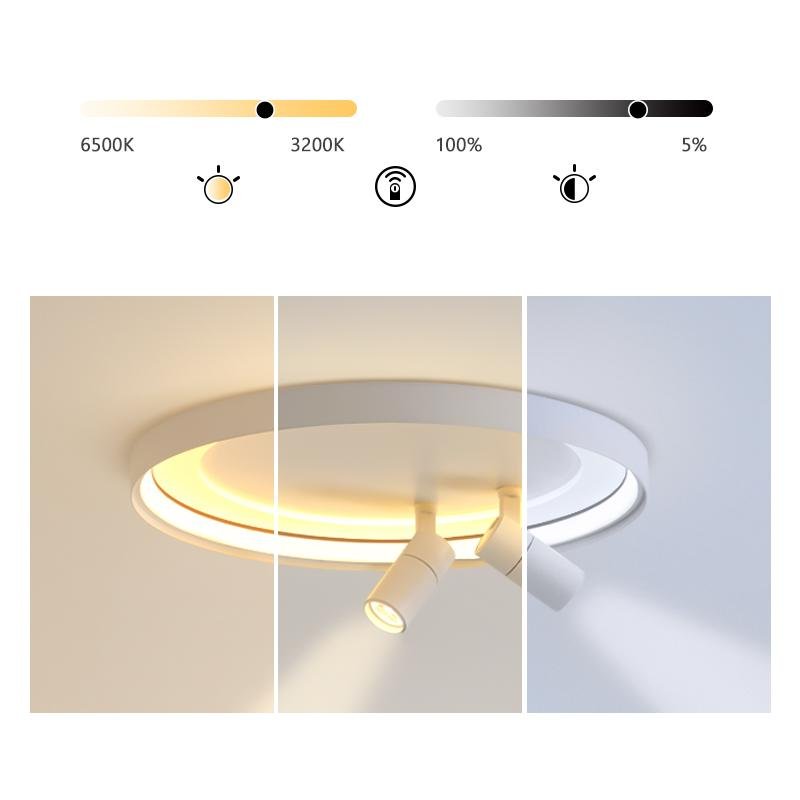 Spotlights and Round Ceiling Light for Living Room Bedroom - dazuma