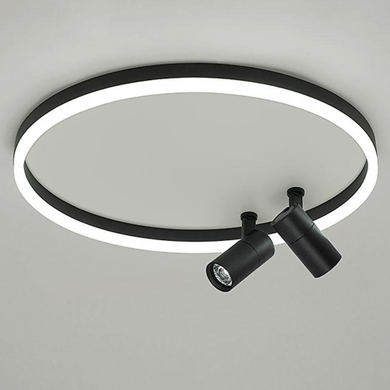 16'' Round Dimmable Adjustable Flush Mount Light with 2 Spotlights Track Lights