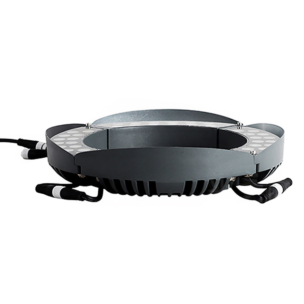 Adjustable tree ring landscape light for accent uplighting