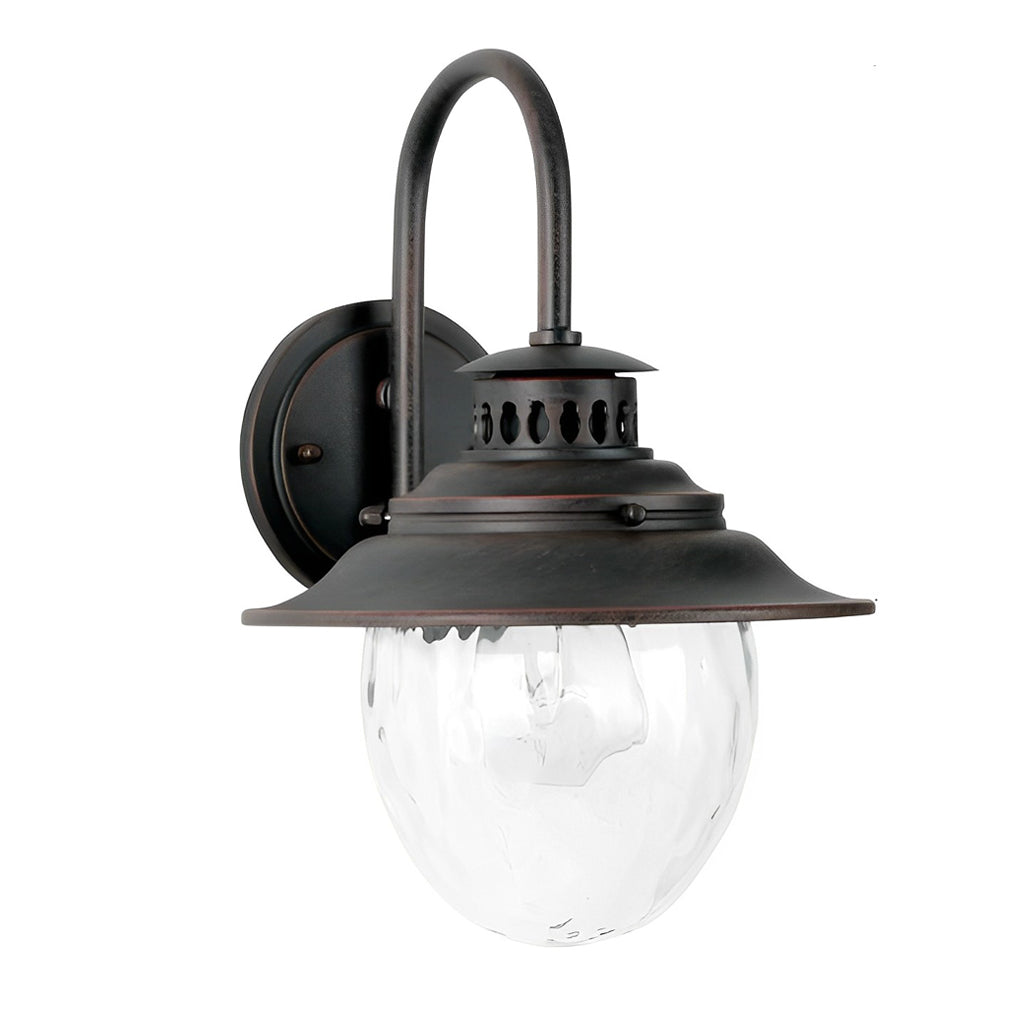 Black gooseneck wall light isolated product view showing classic outdoor barn style fixture with clear glass globe shade.
