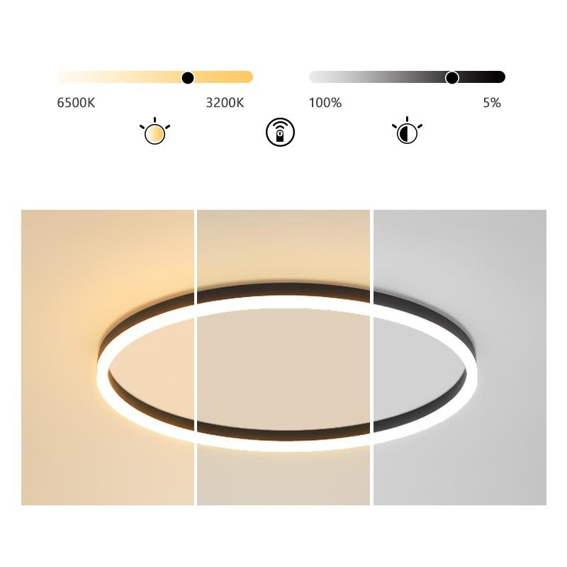 Flush mount ring light with a modern design, illuminating a stylish room.