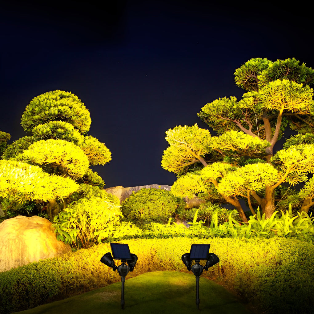 Garden spotlights solar powered casting a gentle glow near bonsai trees.